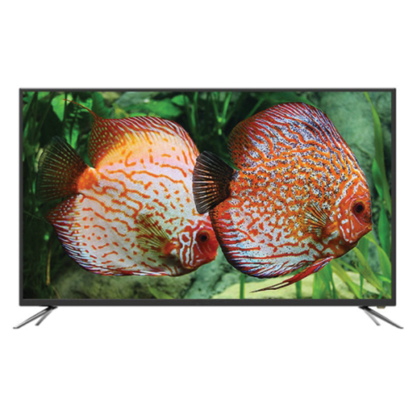 20231104164556 original media 404